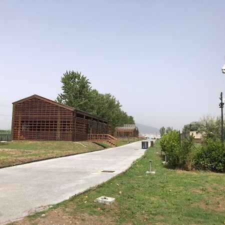 Bnb Nonna Maria Poggiomarino Exterior photo
